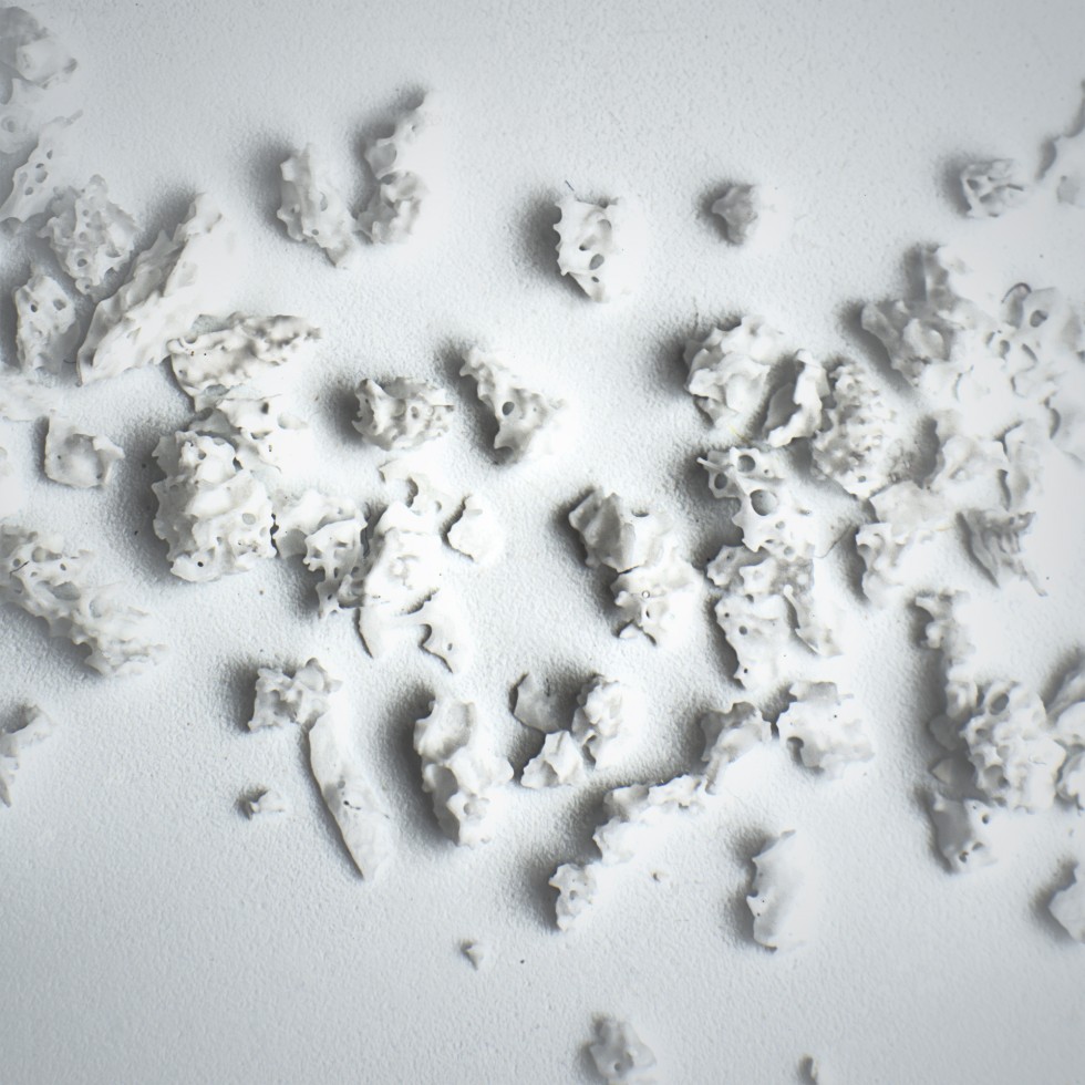 Endobon Ksenograft w granulkach - DENTAL DEPOT